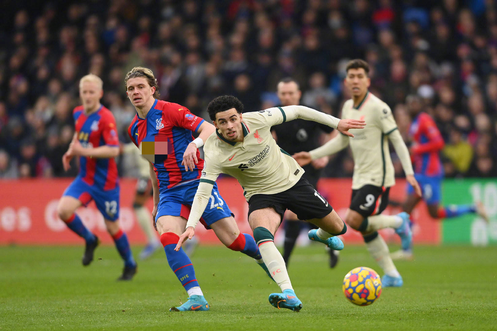 这不仅吸引 这不仅吸引